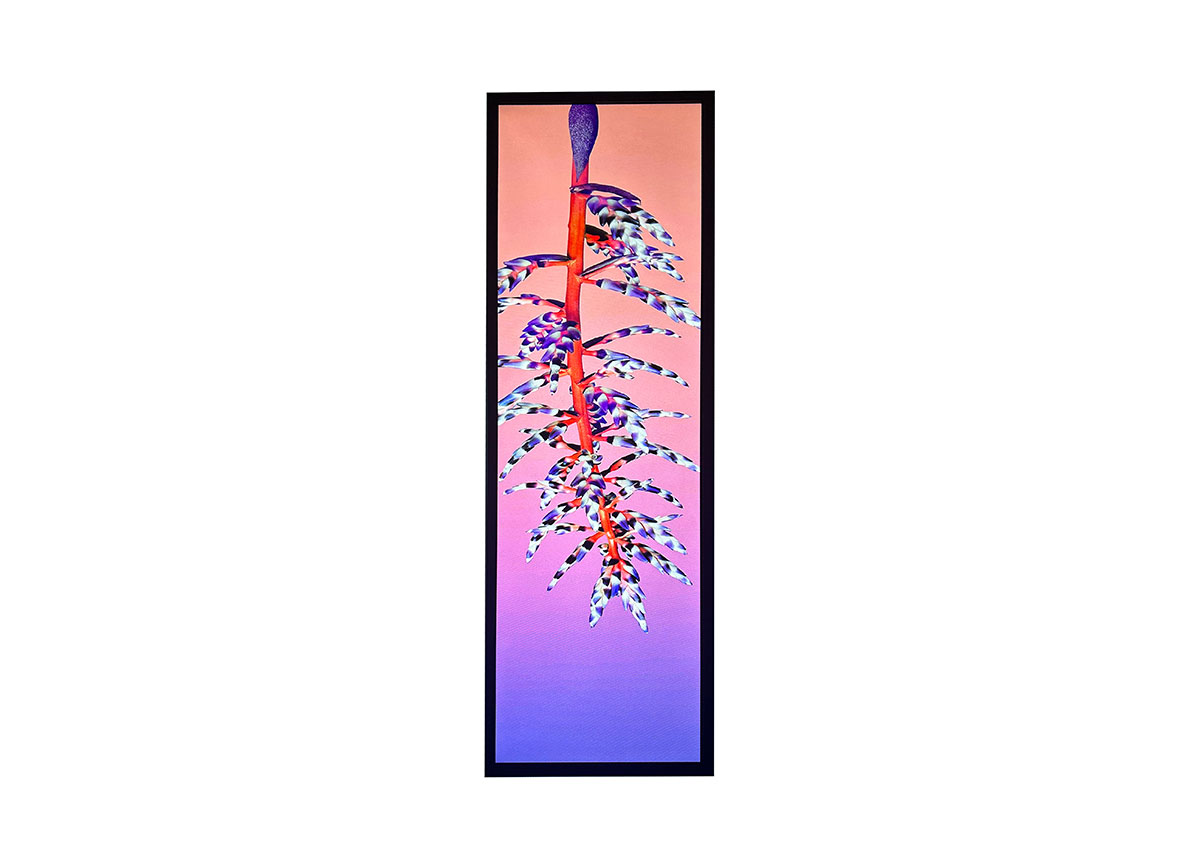 Top 5 Highly Rated Commercial Bar Type LCD Manufacturers in the USA